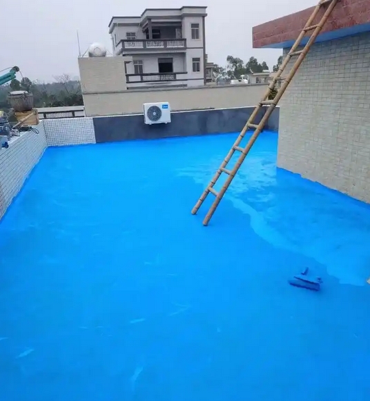 楼(地)面涂膜防水