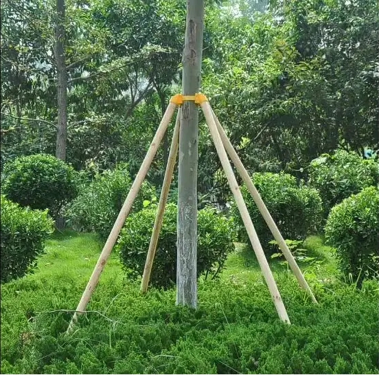 树木支撑架